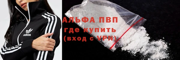 стаф Надым