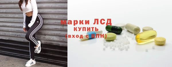 стаф Надым