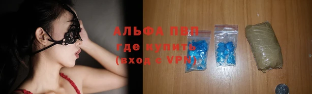стаф Надым