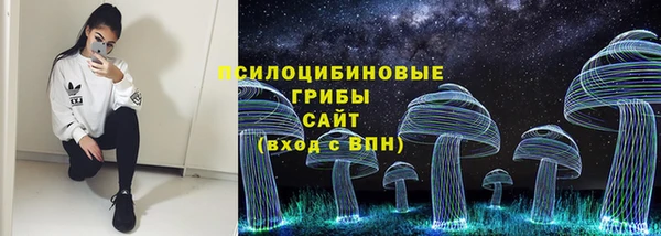 стаф Надым