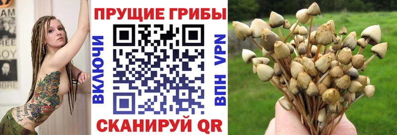 Псилоцибиновые грибы прущие грибы  цена наркотик  Нягань 