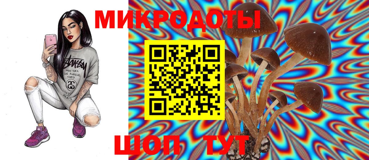 Псилоцибиновые грибы мицелий Нягань