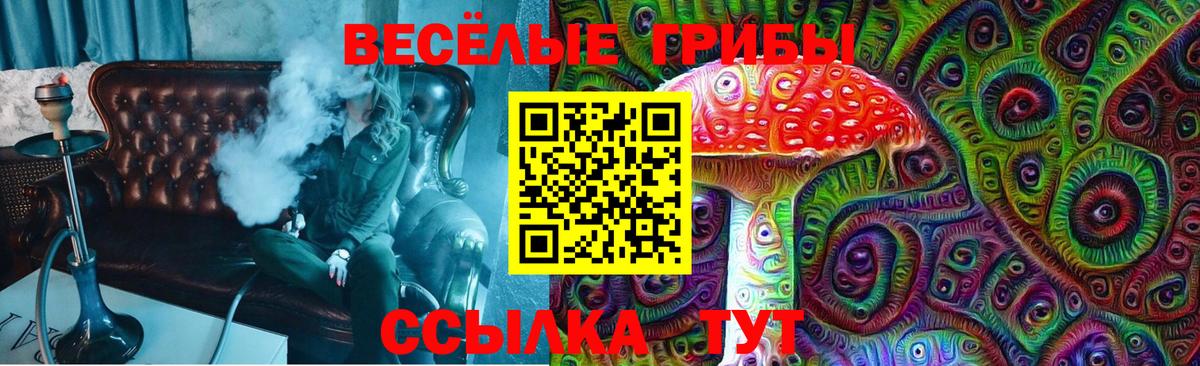Нягань  Псилоцибиновые грибы Cubensis  Вход с VPN 