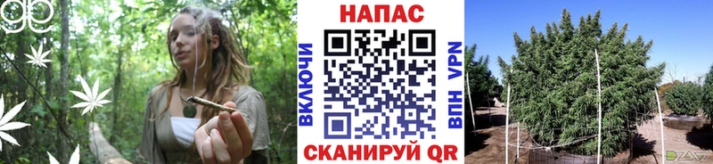 Каннабис Bruce Banner Нягань